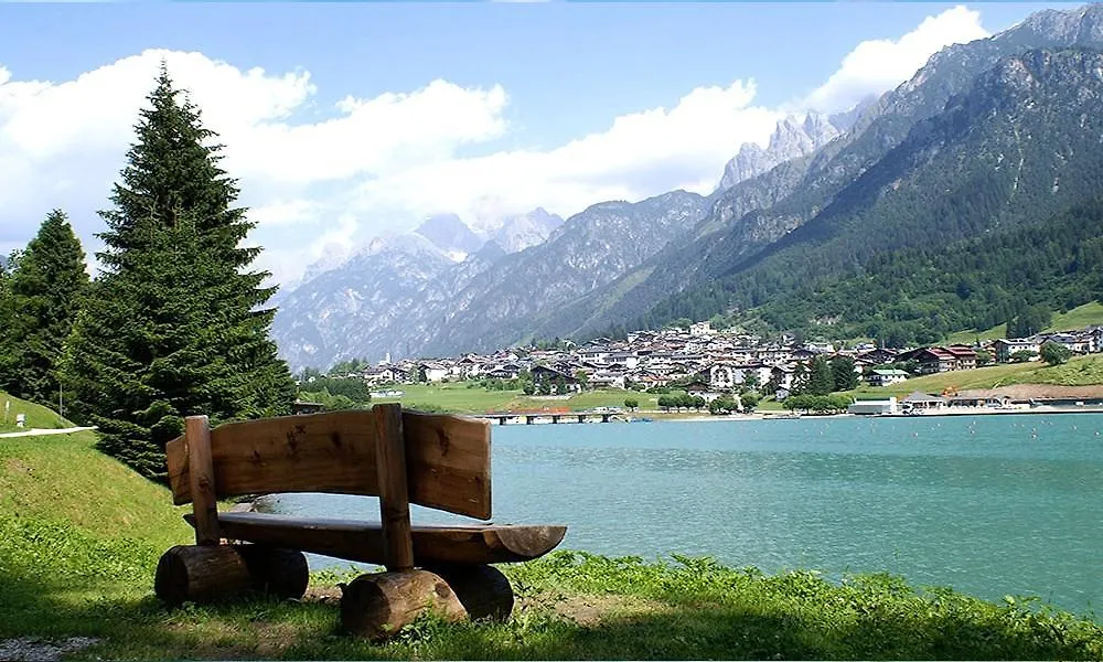 Hotel Diana Auronzo di Cadore 3*,